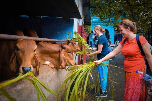 Mumbai Markets & Temples Tour - Getting the Best of Mumbai