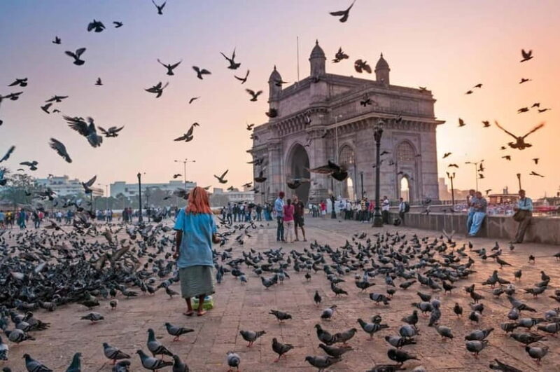 Mumbai Marvels Tour | 4 Hour Private City Tour with Guide - An In-Depth Look at the Mumbai Marvels Tour