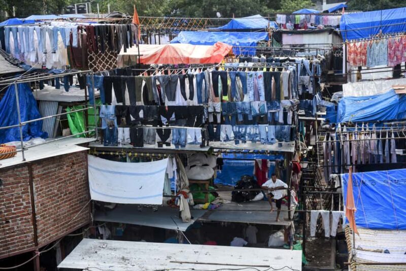 Mumbai Morning Market Tour of Flowers, Fish, and More - Who is This Tour Best Suited For?