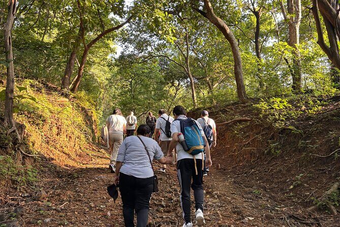 Mumbai Nature Trails Shilonda + Upper Kanheri + Gaimukh - FAQ