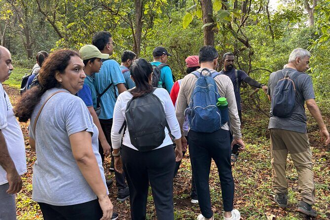 Mumbai Nature Trails  Shilonda + Upper Kanheri + Gaimukh - What to Expect and What to Pack