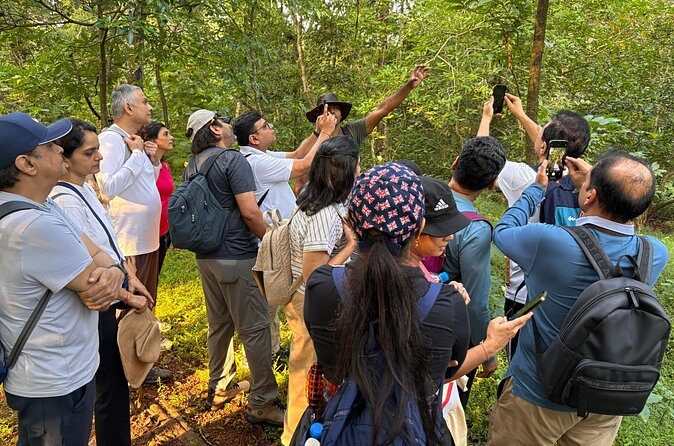 Mumbai Nature Trails  Shilonda + Upper Kanheri + Gaimukh - Final Words