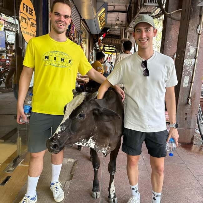 Mumbai: Private Sightseeing Tour & Slum Tour with a Local - Good To Know