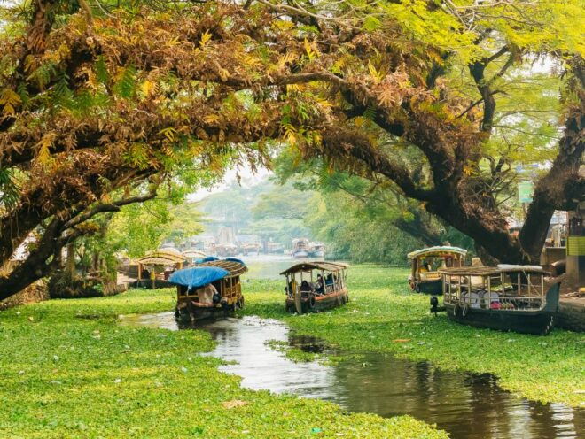 Mumbai: Shore Excursion - The Sum Up