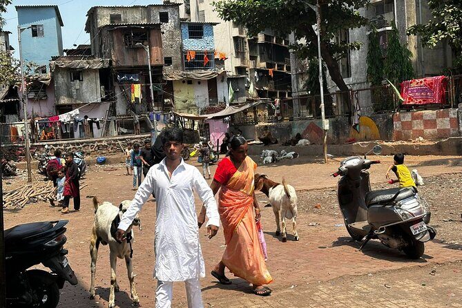 Mumbai Slum Tour with Dhobi Ghat Laundry & Train Ride Tour - Who Should Consider This Tour?