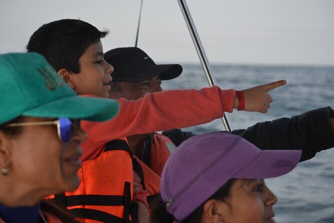 Munba Ballena Tour by Power Boat - Who Will Love This Tour?