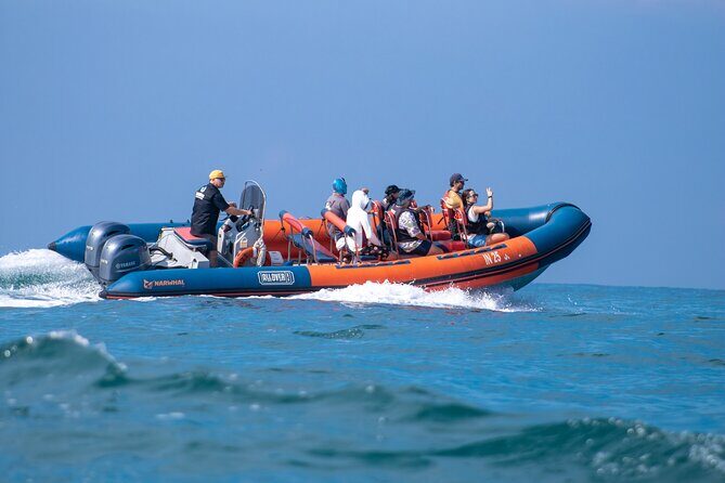 Munba Ballena Tour by Power Boat - FAQ