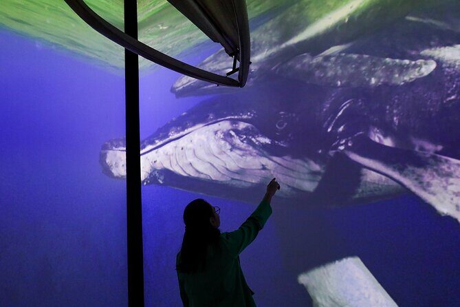 Munba National interactive Whale Museum - Practical Information: Visiting Details and Tips