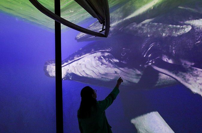 Munba National interactive Whale Museum - Why This Experience Is Worth It