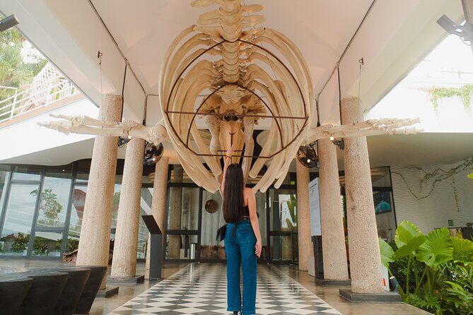 Munba National interactive Whale Museum - FAQs