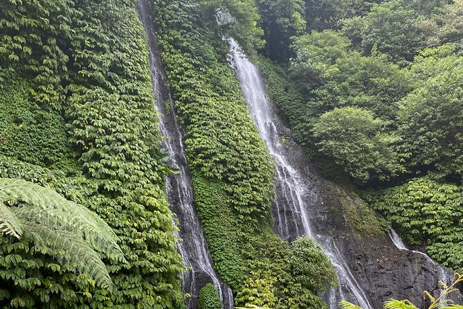 Munduk Authentic Cooking Class & Banyumala Waterfall - Customer Reviews