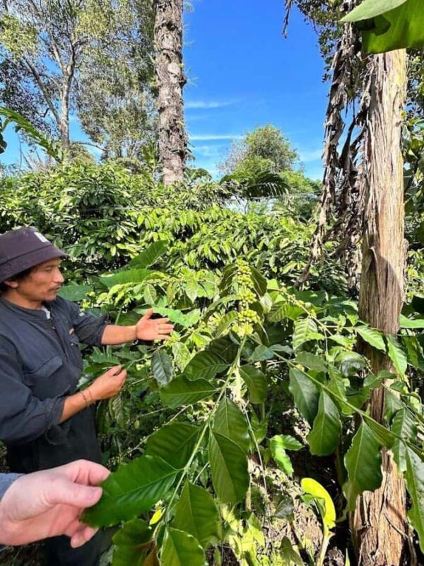 Munduk: Balinese Offering & Authentic Experience with Local - FAQ