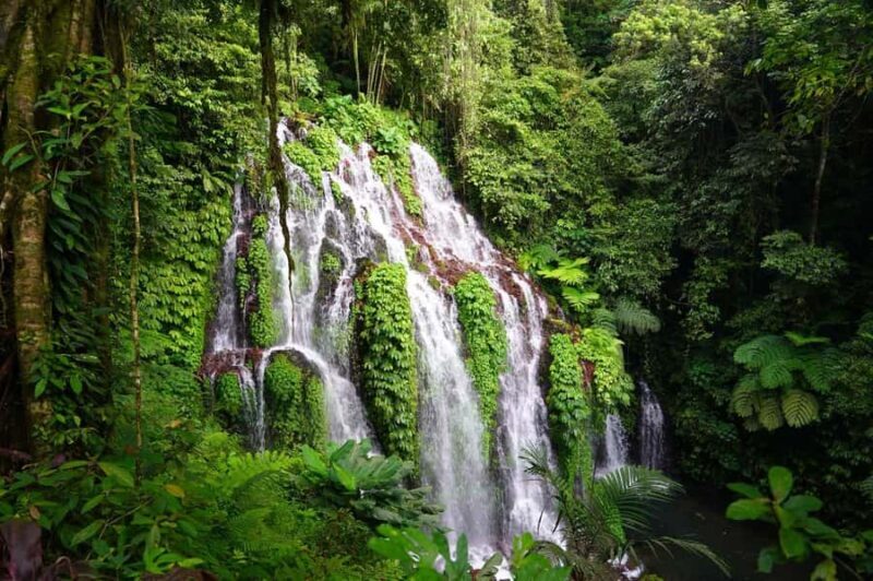 Munduk: Banyu Wana and Sekumpul Waterfall Trekking Tour - Practicalities and Value