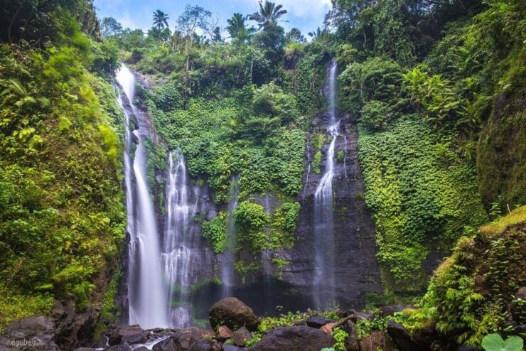 Munduk: Banyu Wana & Sekumpul Waterfall Trekking Dengan Makan Siang - Highlights