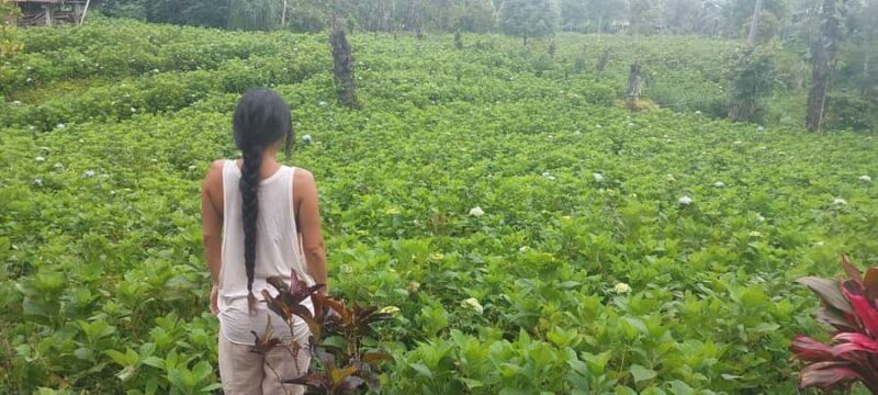 Munduk: Banyumala Twin Waterfall Jungle Trek, Swim & Lunch - FAQ