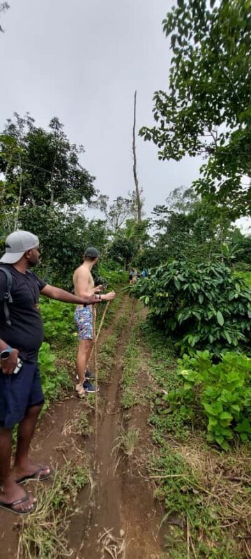 Munduk: Banyumala Twin Waterfall Jungle Trek, Swim & Lunch - Practical Details & Tips