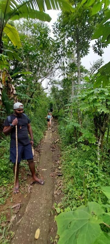 Munduk: Banyumala Twin Waterfall Jungle Trek, Swim & Lunch - Review Highlights and Authentic Insights