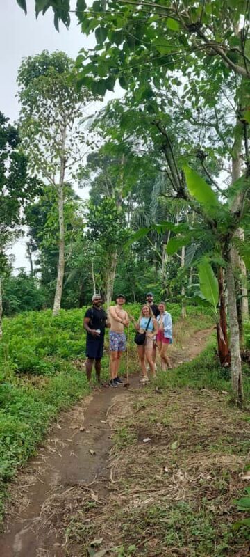 Munduk: Banyumala Twin Waterfall Jungle Trek, Swim & Lunch - The Sum Up