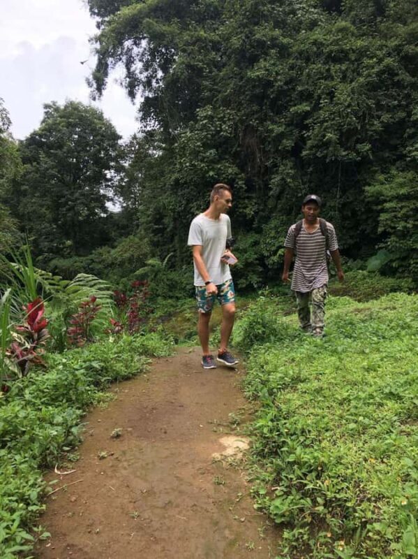 Munduk: Banyumala Waterfalls Hiking Tour - Good To Know  