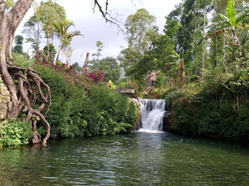 Munduk: Banyumala Waterfalls Hiking Tour - The Authenticity and Reviews That Matter