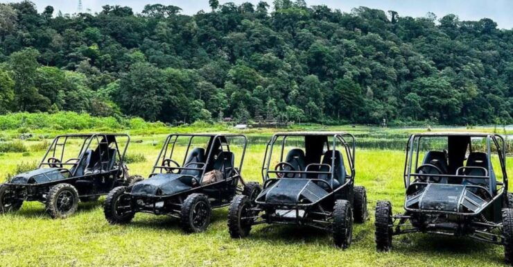 Munduk: Buggy Adventures With Picnic Lunch - Experience Highlights