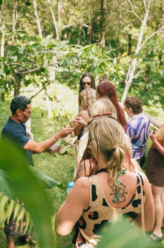Munduk : Coffee Plantation Tour and Bamboo Weaving Class - Good To Know