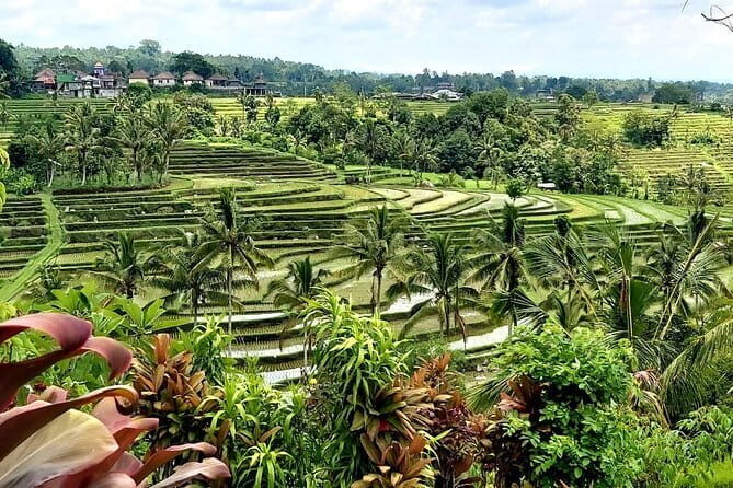 Munduk Highlights: Stunning North Bali Waterfalls & Temple - Who Is This Tour Best For?