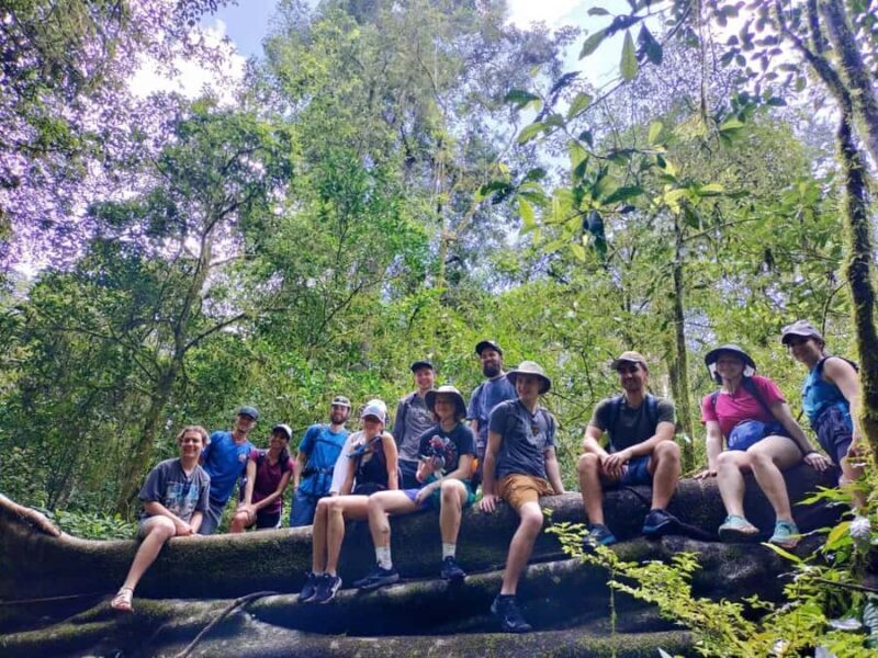 Munduk Jungle Trek & Hidden Waterfalls with Local Guide - The Itinerary Breakdown