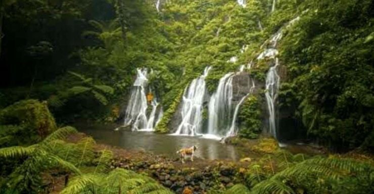 MUNDUK : Jungle Trekking Day Tour - Key Points