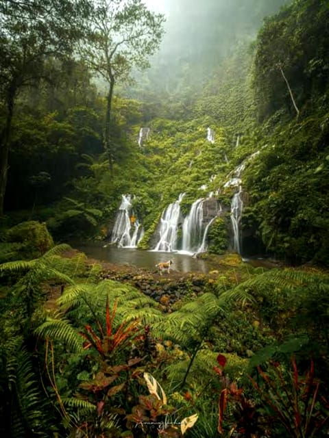 MUNDUK : Jungle Trekking Day Tour - Itinerary and Highlights