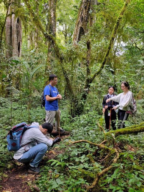 Munduk : Jungle Trekking,Canoeing & Balinese Cooking Class - Activity Highlights