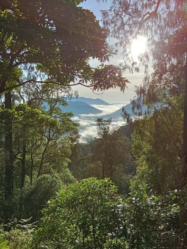 Munduk: Mount Shangyang Trek with Local Guide - Introduction