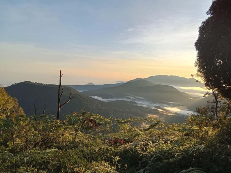 Munduk: Mount Shangyang Trek with Local Guide - Good To Know
