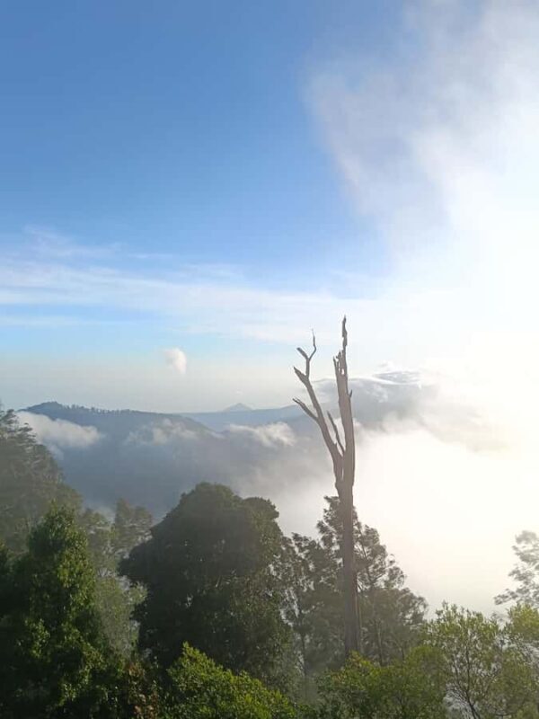 Munduk: Mount Shangyang Trek with Local Guide - Practical Details & Tips