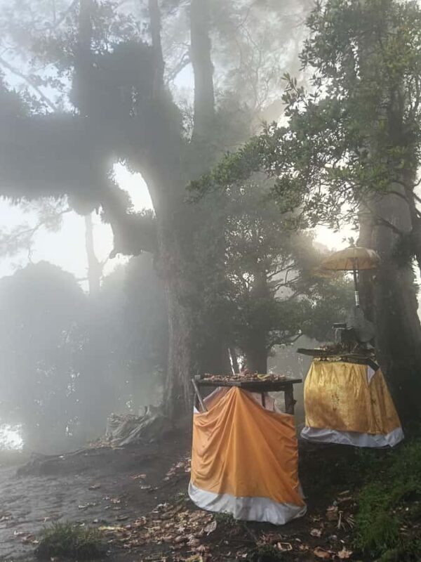 Munduk: Mount Shangyang Trek with Local Guide - Who Should Consider This Tour?