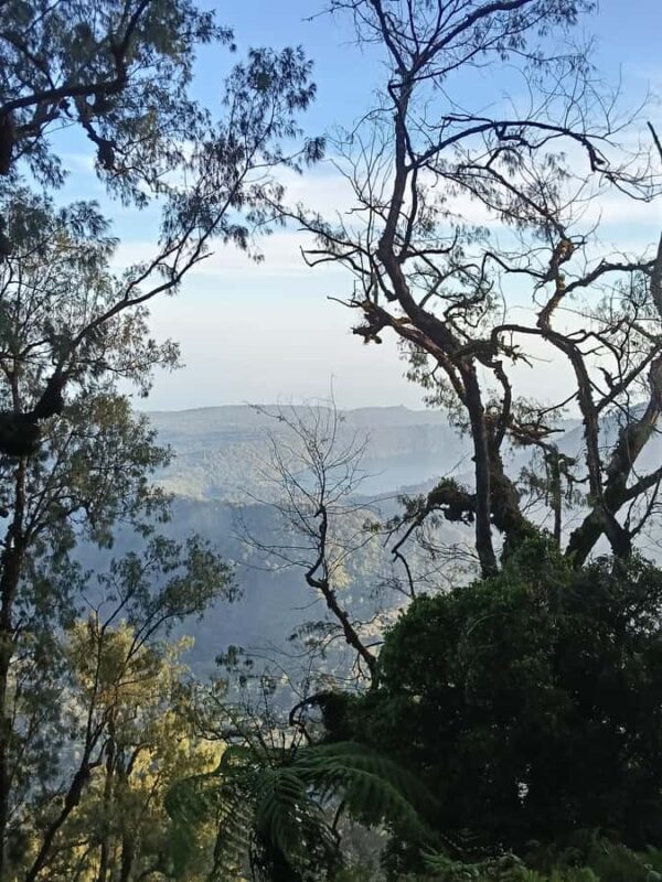 Munduk: Mount Shangyang Trek with Local Guide - FAQ