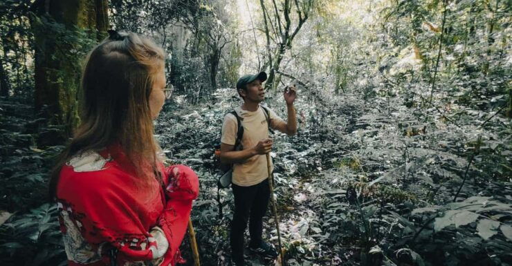 Munduk: Rainforest Hiking, Canoeing And Waterfall Tour - Key Points