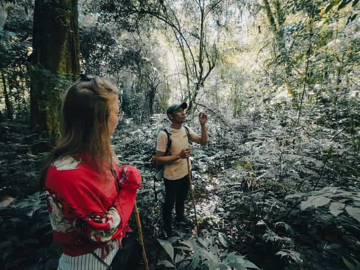 Munduk: Rainforest Hiking, Canoeing And Waterfall Tour - Itinerary Highlights