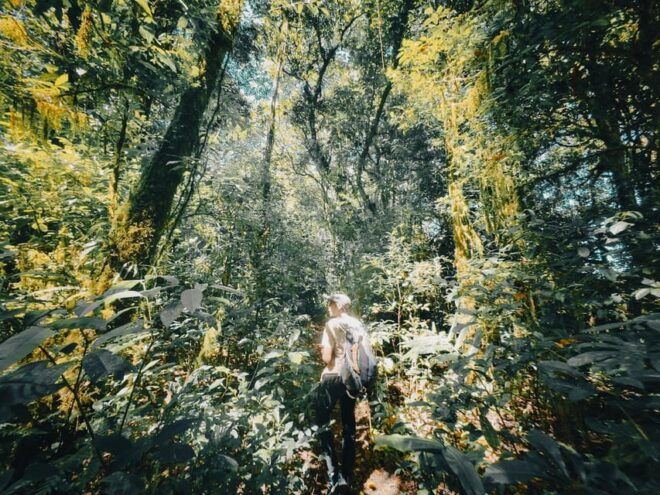 Munduk: Rainforest Hiking, Canoeing And Waterfall Tour - Important Information