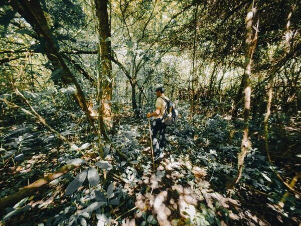 Munduk: Rainforest Hiking, Canoeing And Waterfall Tour - What to Bring