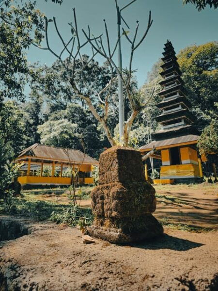 Munduk: Rainforest Hiking, Canoeing And Waterfall Tour - Tour Group Details