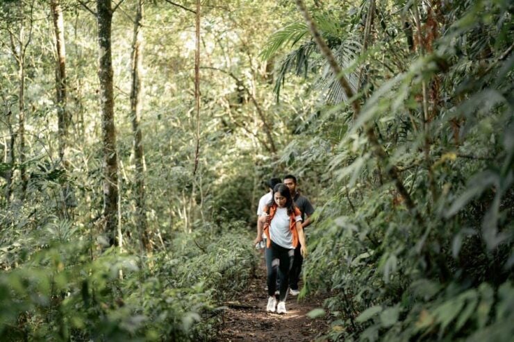 Munduk : Rainforest Tamblingan Lake Trek & Canoeing Temple - Rainforest Trekking in Munduk