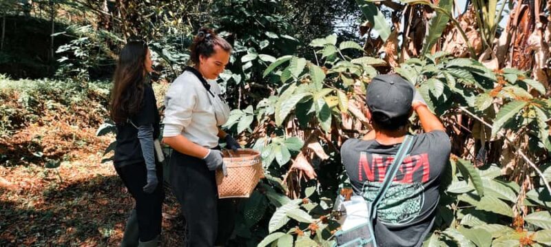 Munduk: Regenerative Roots Permaculture Farm Tour - Good To Know