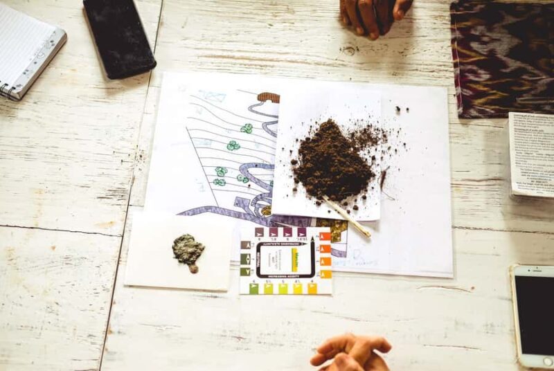 Munduk: Regenerative Roots Permaculture Farm Tour - Final Thoughts: Who Should Consider This Tour?