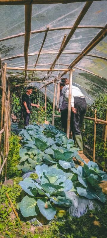 Munduk: Regenerative Roots Permaculture Farm Tour - Frequently Asked Questions