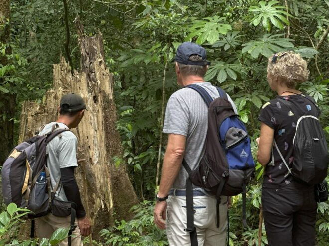 Munduk Sunrise, Jungle Trek, Canoe & Waterfall - Lake Canoe Adventure