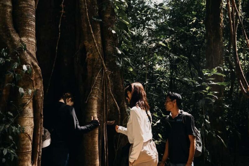 Munduk: Twin Lake Jungle Hike, Ulun Danu Temple, & Waterfall - Visiting Hidden Temples