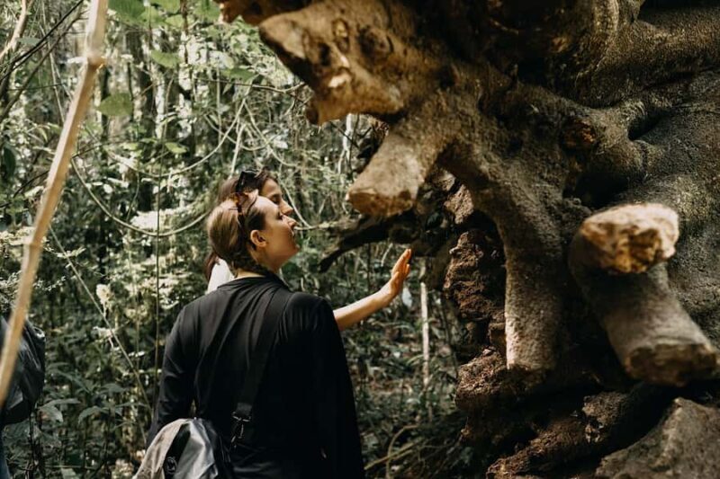 Munduk: Twin Lake Jungle Hike, Ulun Danu Temple, & Waterfall - Optional Lunch and Return