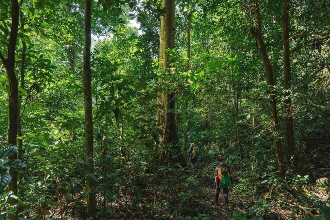 Munduk: Twin Lakes Jungle Hike With Lake Canoe and Waterfall - Tour Highlights