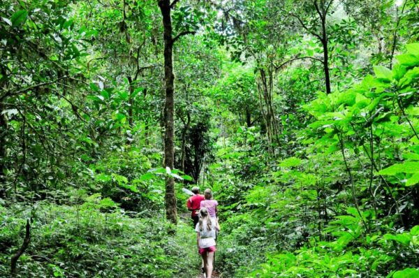 Munduk: Twin Lakes Jungle Hike With Lake Canoe and Waterfall - Whats Included in the Tour